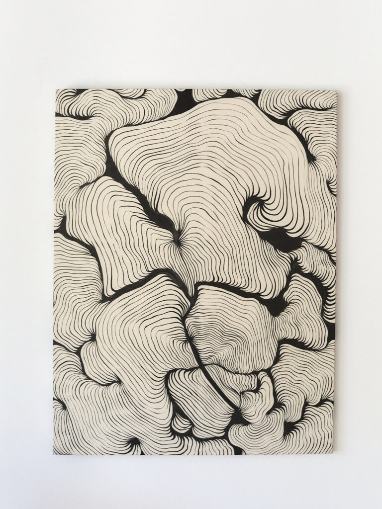 La memoria de la tierra de Antonela Aiassa