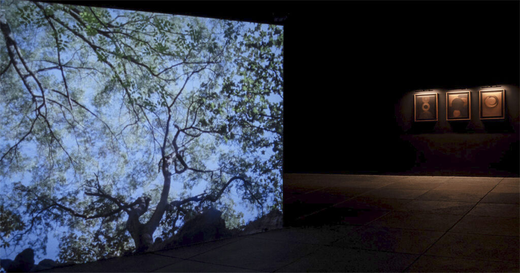 En Fusiones se presenta cine experimental y muralismo.