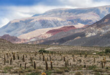 Quebrada de Humahuaca: un viaje a un paisaje que no pertenece a ninguna época la Quebrada de Humahuaca