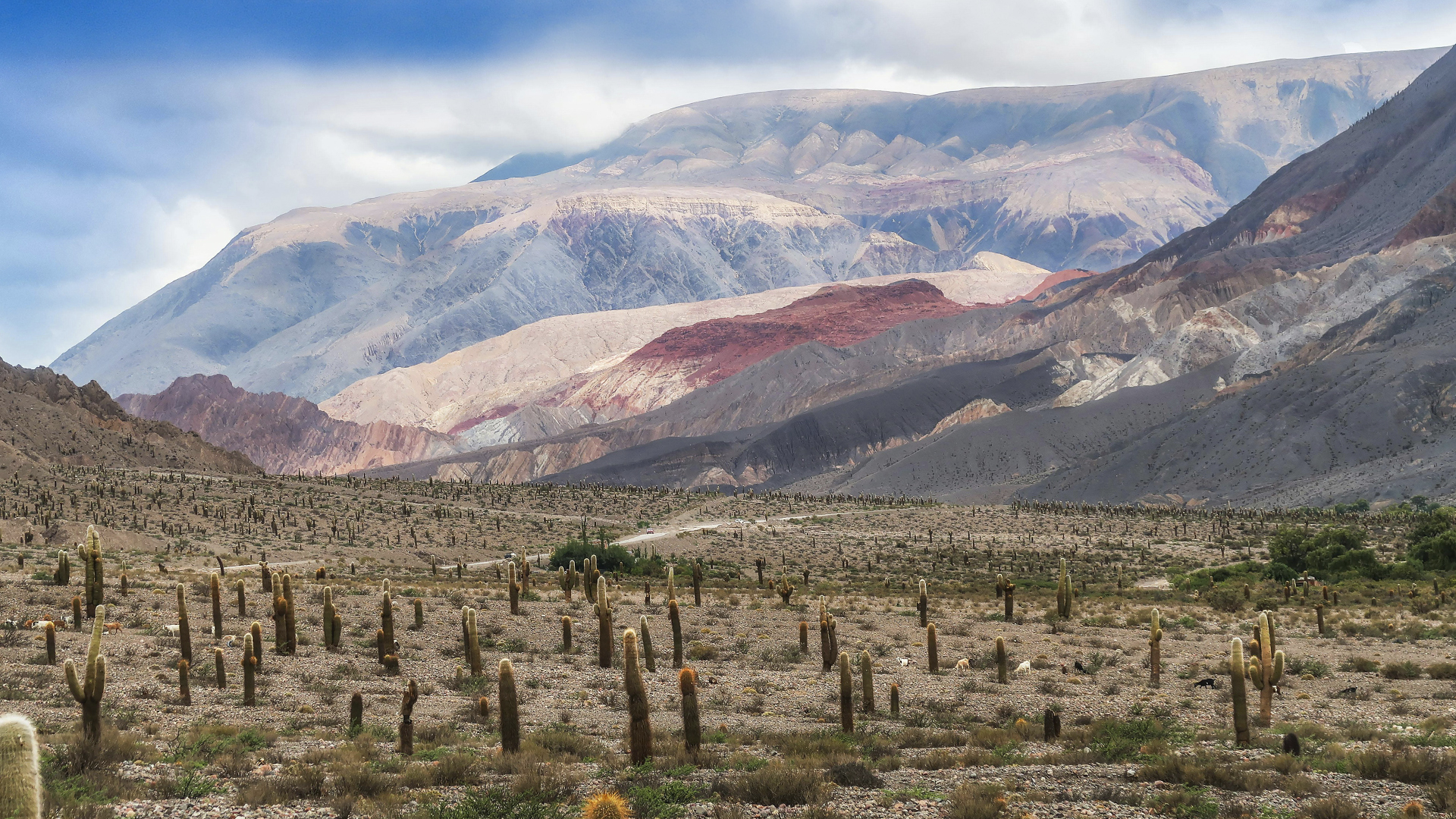 la Quebrada de Humahuaca