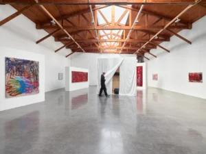 Serie: "el pozo de agua" de Oscar Murillo - Galería kurimanzutto.