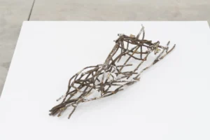 Exposición colectiva "Ni tan remoto, ni tan claro" de Cynthia Gutiérrez, Enrique Hernández, Nicola López, Fabiola Menchelli, Javier MM. Rodríguez, Alejandra Ruiz Rincón, Roberto Turnbull y Rodrigo Valenzuela - Galería Tiro Al Blanco.