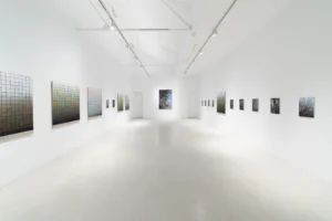 Serie: "El Tiempo Suspendido" de Stijn Cole - Galería Hilario Galguera.