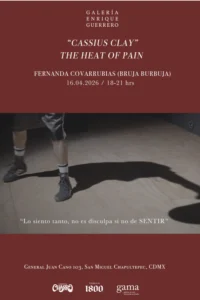 Serie: "CASSIUS CLAY. THE HEAT OF PAIN" de Fernanda Covarrubias - Galería Enrique Guerrero.