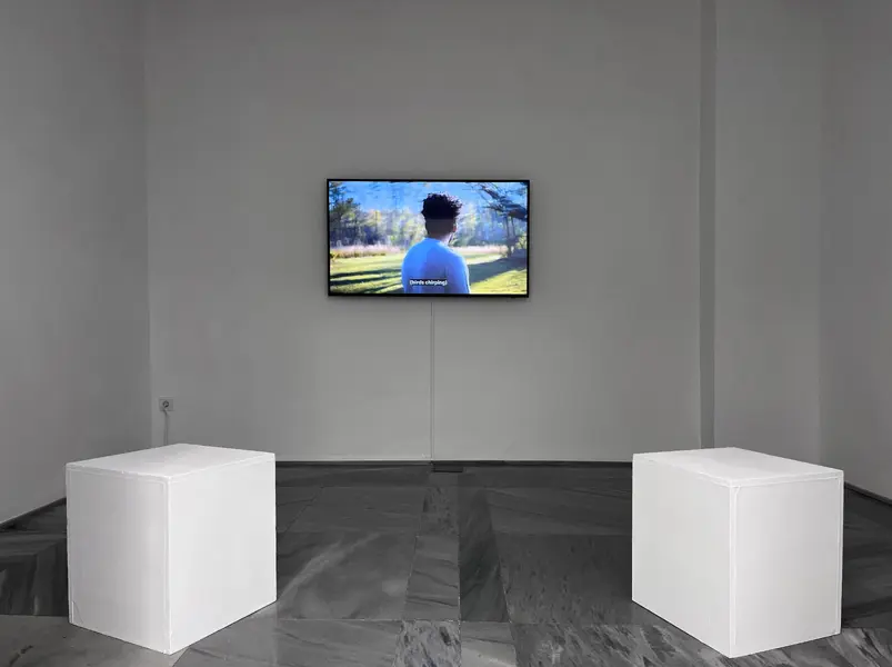 Serie: "Listen to the Hummingbird" de Donna Conlon - Galería Espacio Mínimo.