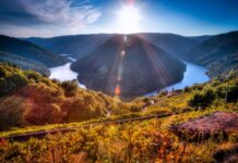 La Ribeira Sacra: piedra, bosques, vino y la paz de los monasterios Cañón fluvial de la Ribeira Sacra entre laderas verdes.