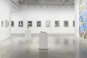 Serie: "Contracorrientes" de Dr. Lakra y Miguel Covarrubias - Galería kurimanzutto.