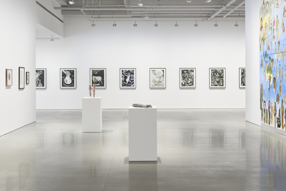 Serie: "Contracorrientes" de Dr. Lakra y Miguel Covarrubias - Galería kurimanzutto.