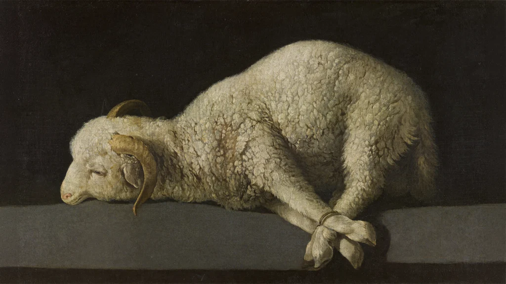 Pintura barroca de Francisco de Zurbarán que muestra un cordero blanco atado sobre una superficie oscura, iluminado dramáticamente sobre un fondo negro.