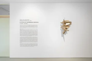 Serie: "8,337,283,136. Nervous nature" de María Luisa Fernández - MAISTERRA.