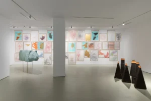 Serie: "8,337,283,136. Nervous nature" de María Luisa Fernández - MAISTERRA.