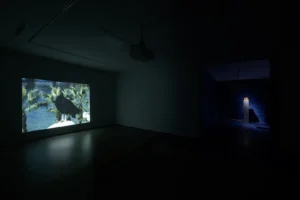 Serie: "Cathartes" de Daniel Jacoby - MAISTERRA.