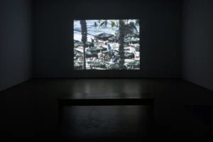 Serie: "Cathartes" de Daniel Jacoby - MAISTERRA.