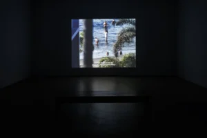 Serie: "Cathartes" de Daniel Jacoby - MAISTERRA.