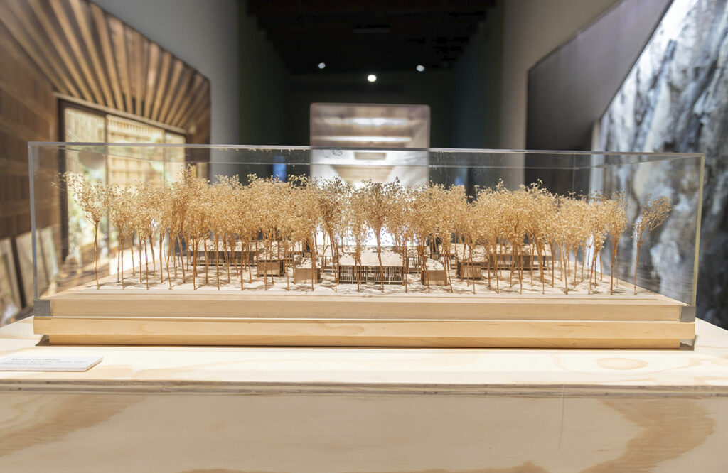 Primer plano detallado de una maqueta arquitectónica de madera protegida por una vitrina de acrílico transparente. La maqueta recrea un conjunto de pabellones de baja altura rodeados por un denso bosque de árboles a escala fabricados con vegetación seca.