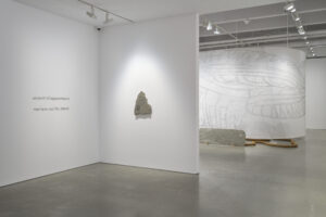 Serpent Disapperance de Mariana Castillo - Kurimanzutto