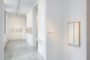 Serie: "Walter Benjamin ha muerto" de Dora García - Galería Elba Benítez.