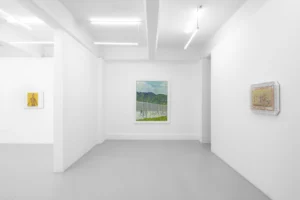 Serie: "Santa Catarina" de Christian Camacho - Galería Karen Huber.