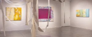 Serie: "De ruidos, desbordes y otras fricciones" de Verónica Lehner - Galería La Cometa.