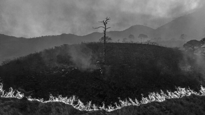 Incendio forestal avanza sobre el Cerro de San Juan, en Tepic, Nayarit, durante una temporada de sequía agravada por el cambio climático.