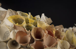 Detalle de una instalación artística de Nebraska Flores Espín elaborada con papel, cera y cáscaras de huevo que recrea estructuras orgánicas inspiradas en la naturaleza.