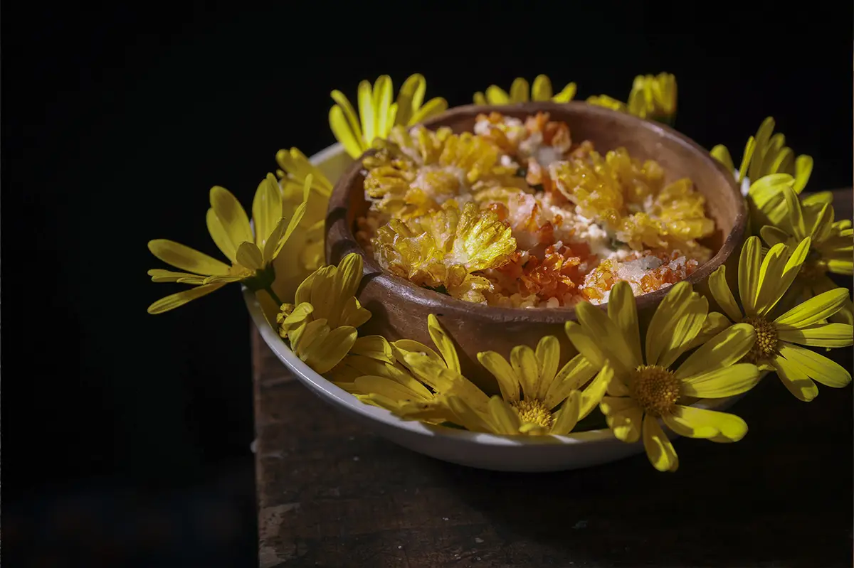 Plato de chirimoya presentado con flores amarillas en Pulpería Santa Elvira, restaurante de Santiago de Chile.