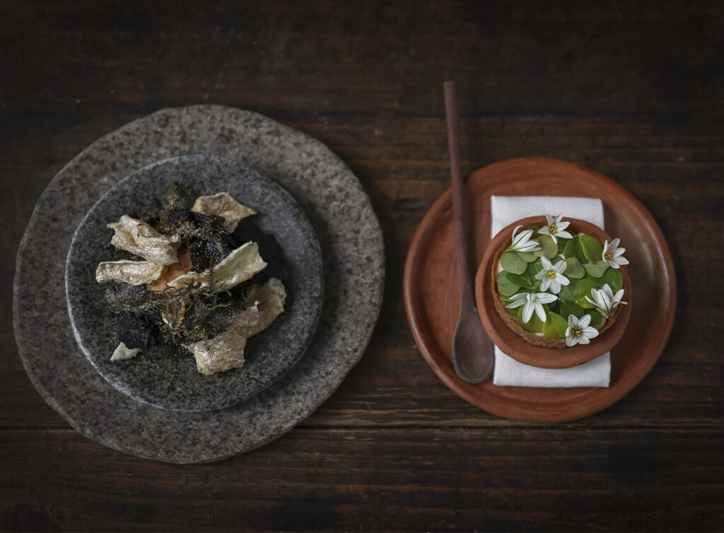 Platos de Conchas y Pieles de Pescado junto a una preparación con hojas y flores comestibles en Pulpería Santa Elvira.