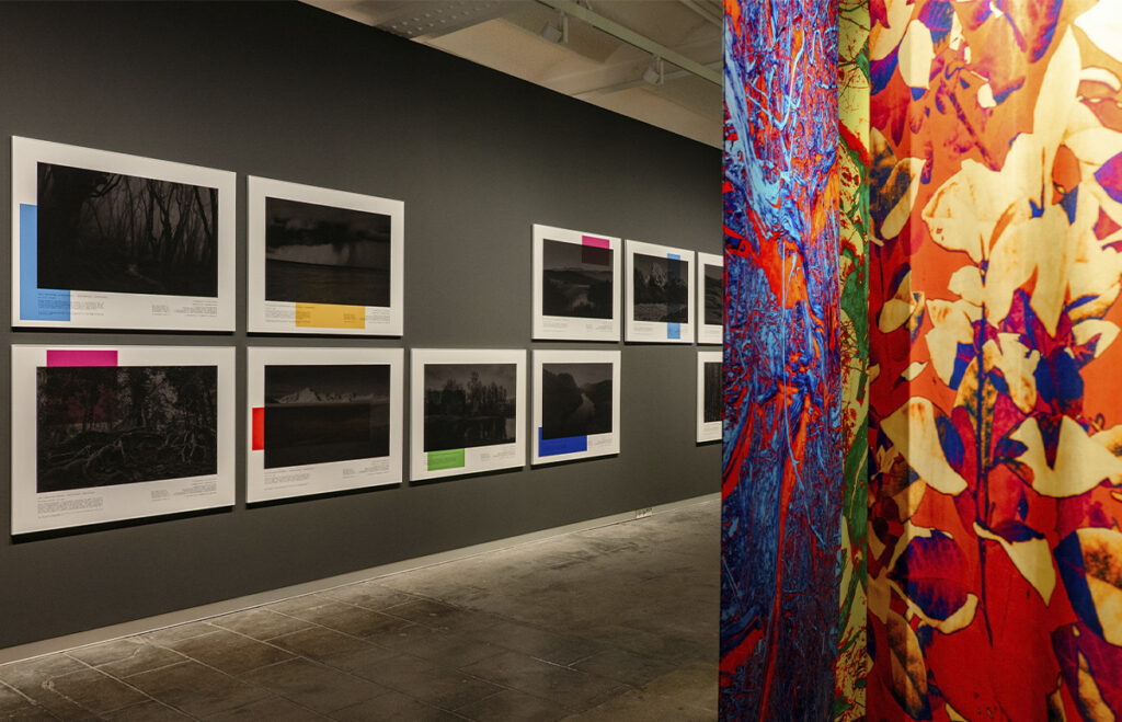 Instalación Fractal Landscapes (2022) de Max de Esteban con fotografías impresas sobre seda.