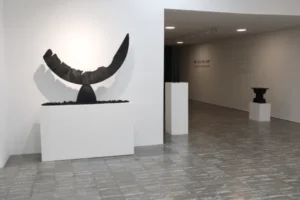 Documentación del programa de Elvira Moreno. Fuente: Elvira Moreno.