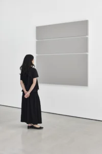 Imagen de Level Paintings. Alan Charlton. Fuente: Cayón.