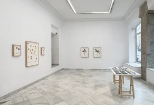 Serie: "Viaje a Galicia" de Alberto Baraya - Galería Fernando Pradilla.