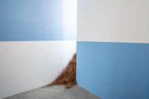 Imagen de La materia de este mundo es bosque. José Luis Arroyo-Robles. Fuente: Lateral.