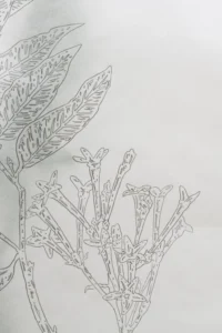 Serie: "Tropicália" de María Ana Vasco Costa, Márcio Vilela y Ariamna Contino - Galería El Apartamento.