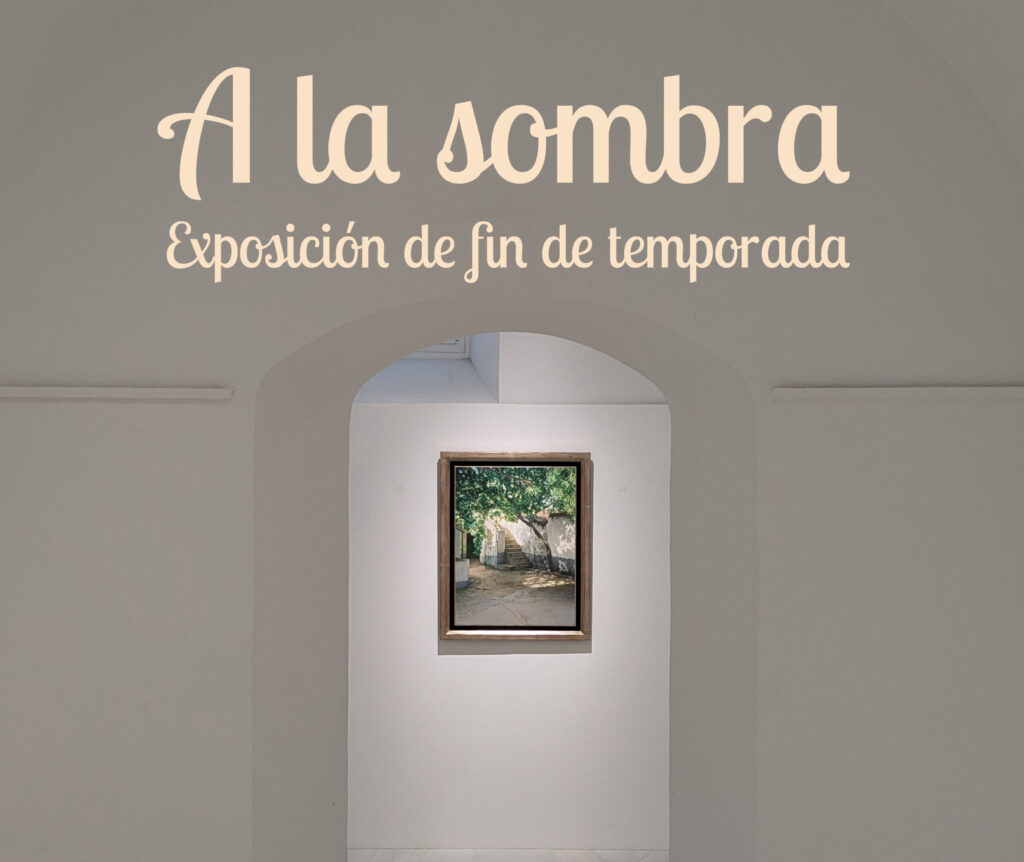Imagen de A la sombra. Exposición de fin de temporada. Exposición colectiva. Fuente: Leandro Navarro.