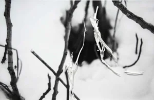 Serie: "Comprender no se hace con la razón" de Concha García e Ignacio Llamas - Galería Daniel Cuevas.
