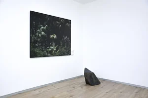 Serie: "Tropicália" de María Ana Vasco Costa, Márcio Vilela y Ariamna Contino - Galería El Apartamento.