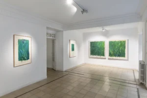 Serie: "El lirio y la siega" de Hugo Fontela - Galería Espacio Valverde.