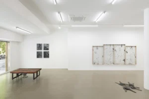 Serie: "MÀ BRAÇ ANSA TRUC" de Jordi Mitjà - Galería Bombon Projects.