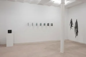 Imagen de Ejercicios de permanencia. María Elena Pombo; Miguel Braceli. Fuente: Sorondo Projects.