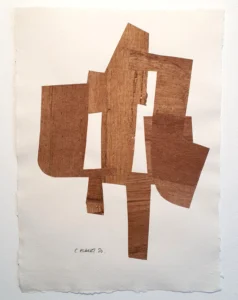 Serie: "Eco" de Carlos Albert - Galería BAT.