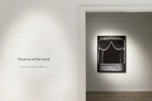 Serie: "Theatres of the mind" de Alejandra Diez de Rivera - Galería Espacio Valverde.