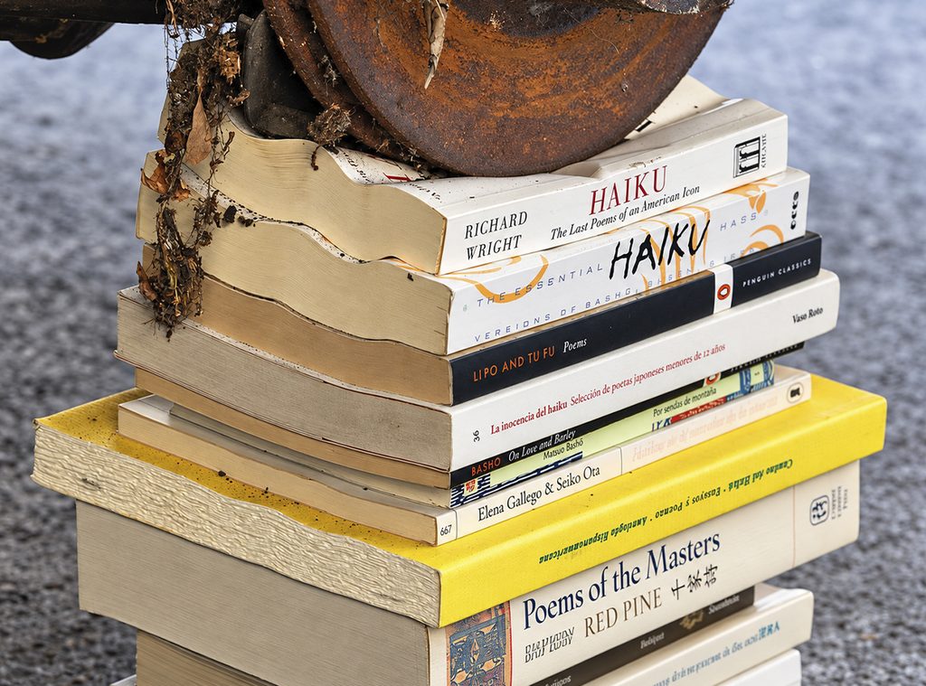 A stack of books of various sizes, including several poetry and haiku collections, beneath a rusty metal object.
