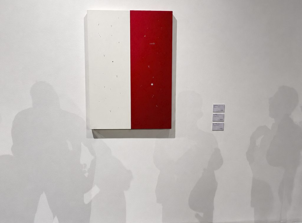Detail of a painting featuring two sections—white and red—on which letters and fragments of words appear.