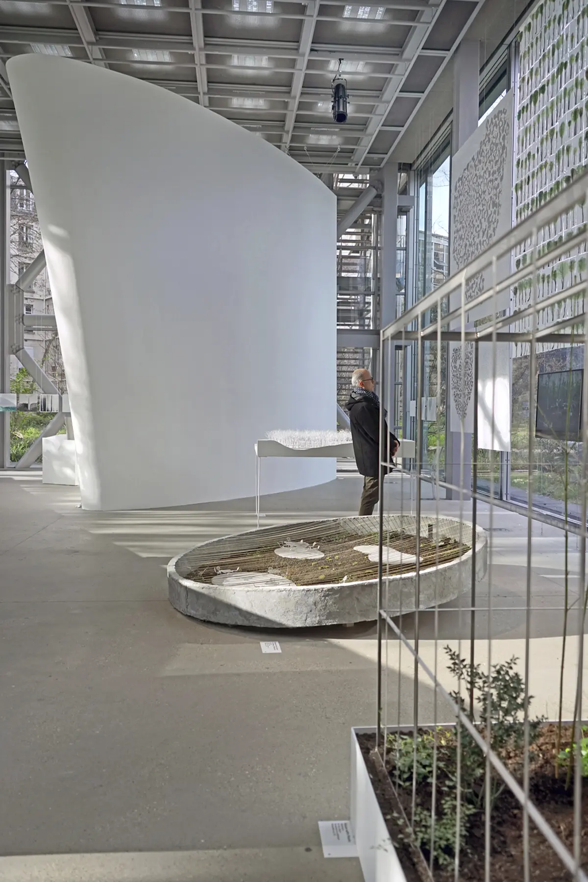 An exhibition hall featuring a large, curved white structure, scale models with vegetation, and a visitor standing in front of drawings by the large windows.